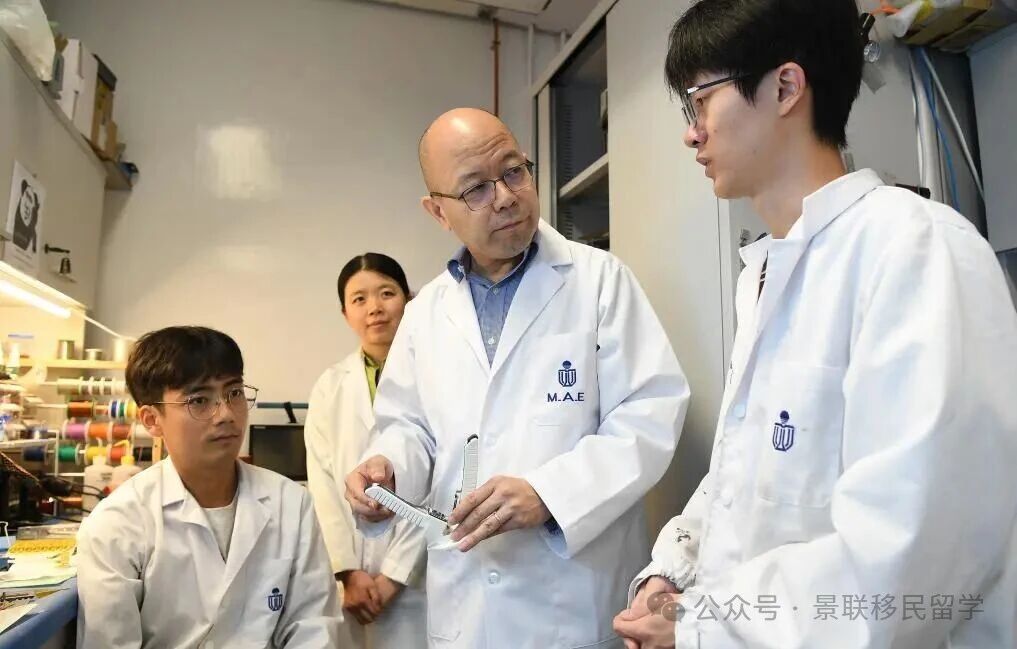 解读｜香港留学为什么越来越受欢迎？“金字招牌”缘何越擦越亮？