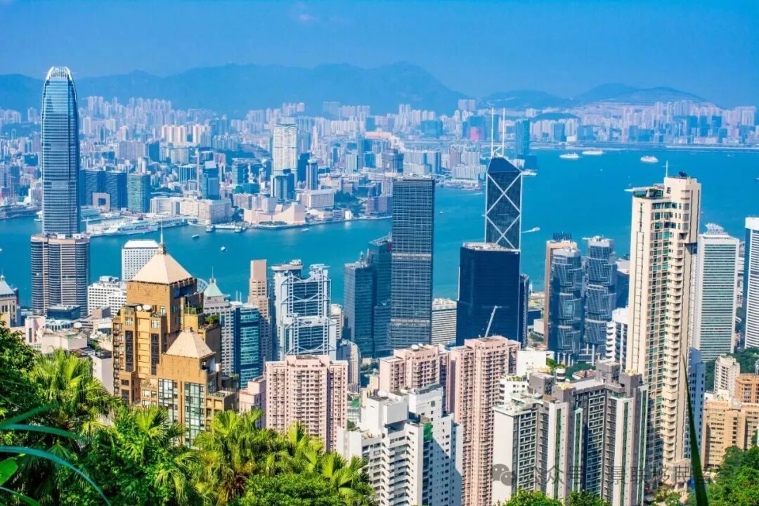 图8.jpg